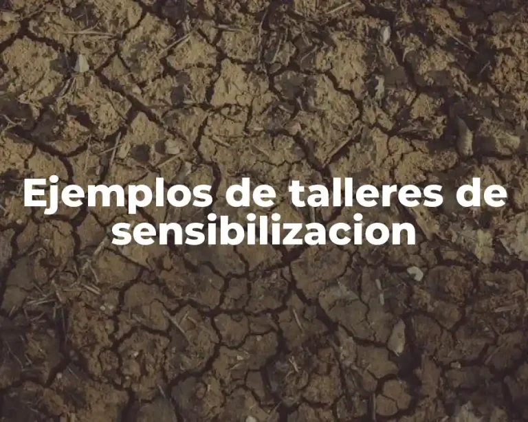 Ejemplos de talleres de sensibilizacion
