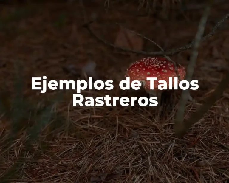 Ejemplos de Tallos Rastreros