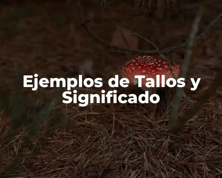 Ejemplos de Tallos y Significado