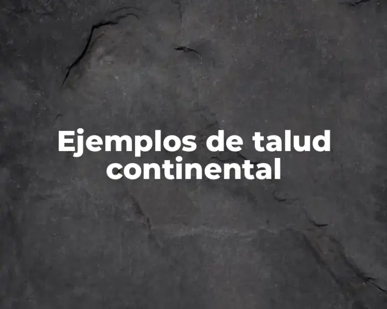 Ejemplos de talud continental