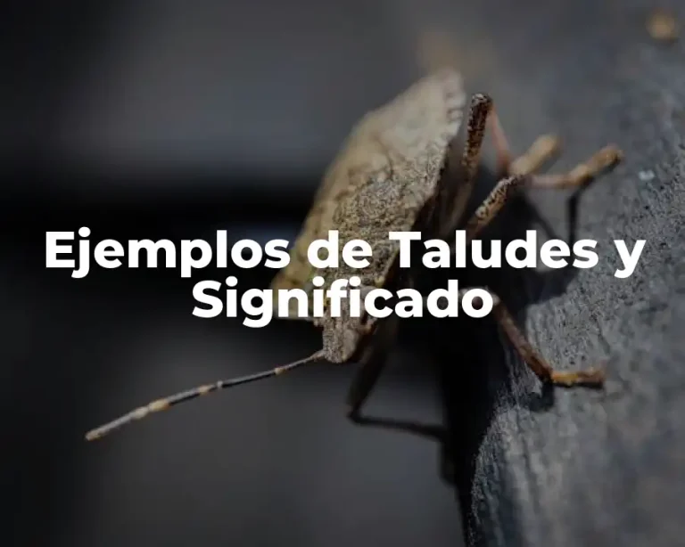 Ejemplos de Taludes y Significado