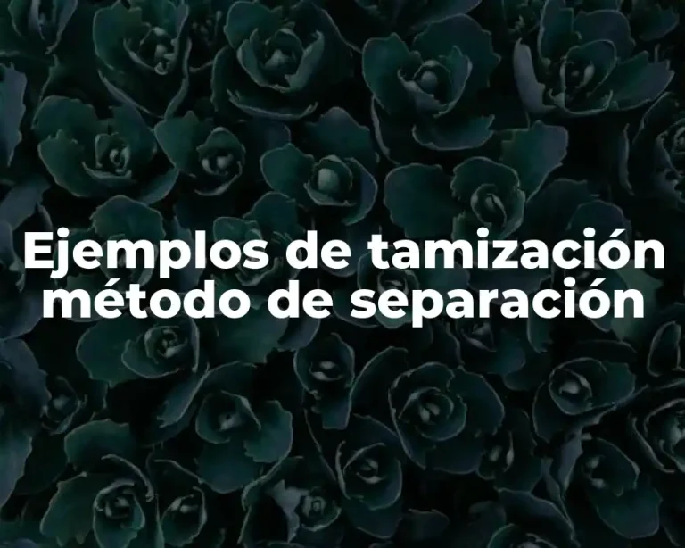 Ejemplos de tamización método de separación