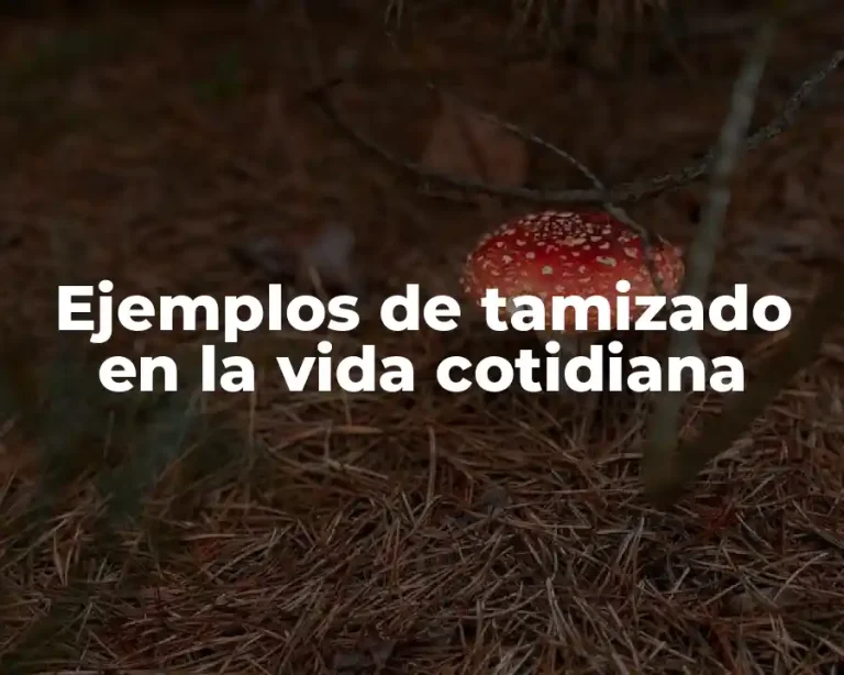 Ejemplos de tamizado en la vida cotidiana