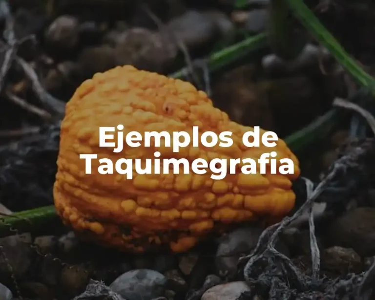 Ejemplos de Taquimegrafia