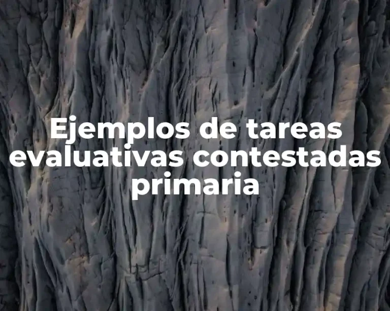 Ejemplos de tareas evaluativas contestadas primaria