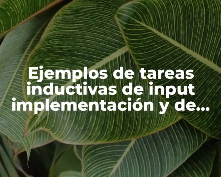 Ejemplos de tareas inductivas de input implementación y de integración