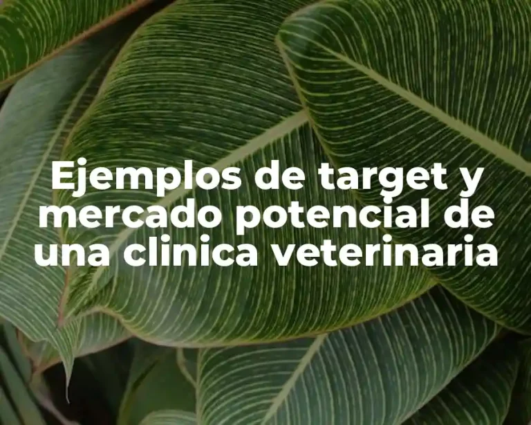 Ejemplos de target y mercado potencial de una clinica veterinaria