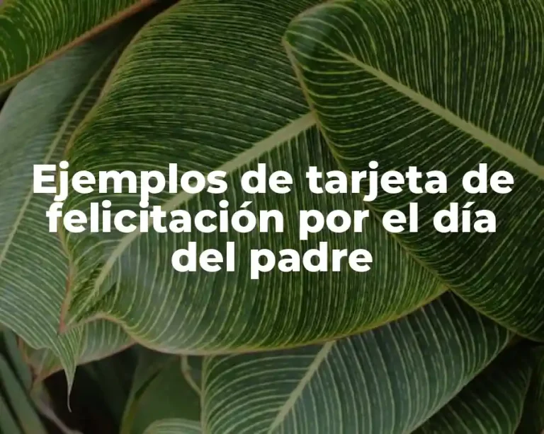 Ejemplos de tarjeta de felicitación por el día del padre