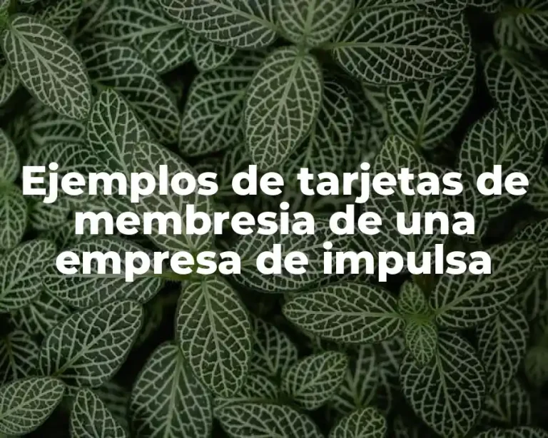 Ejemplos de tarjetas de membresia de una empresa de impulsa