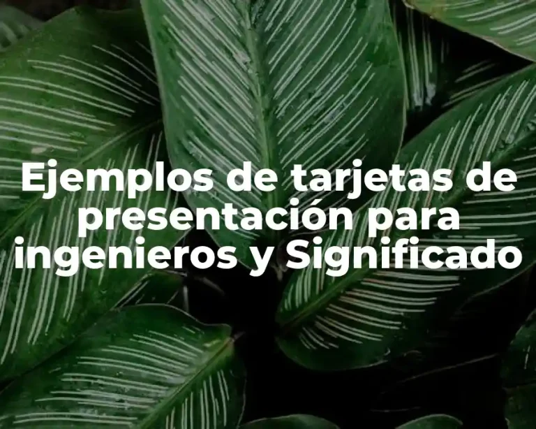Ejemplos de tarjetas de presentación para ingenieros y Significado