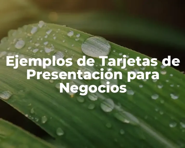 Ejemplos de Tarjetas de Presentación para Negocios