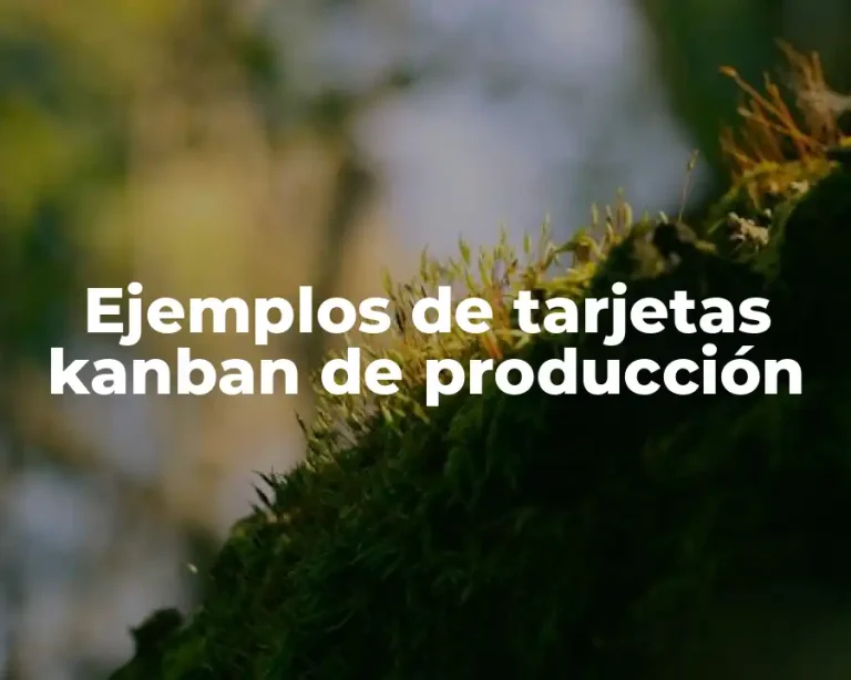 Ejemplos de tarjetas kanban de producción