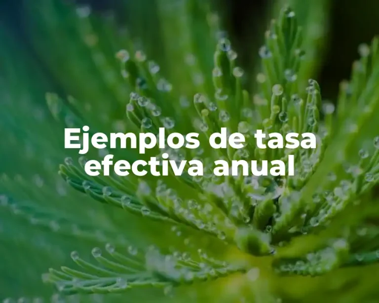 Ejemplos de tasa efectiva anual