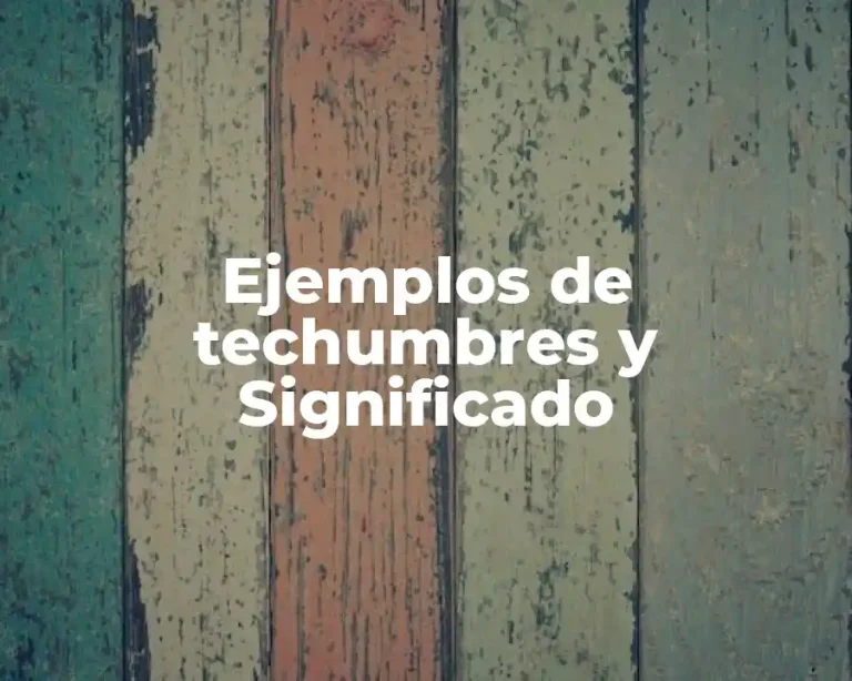 Ejemplos de techumbres y Significado
