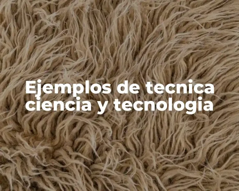 Ejemplos de tecnica ciencia y tecnologia