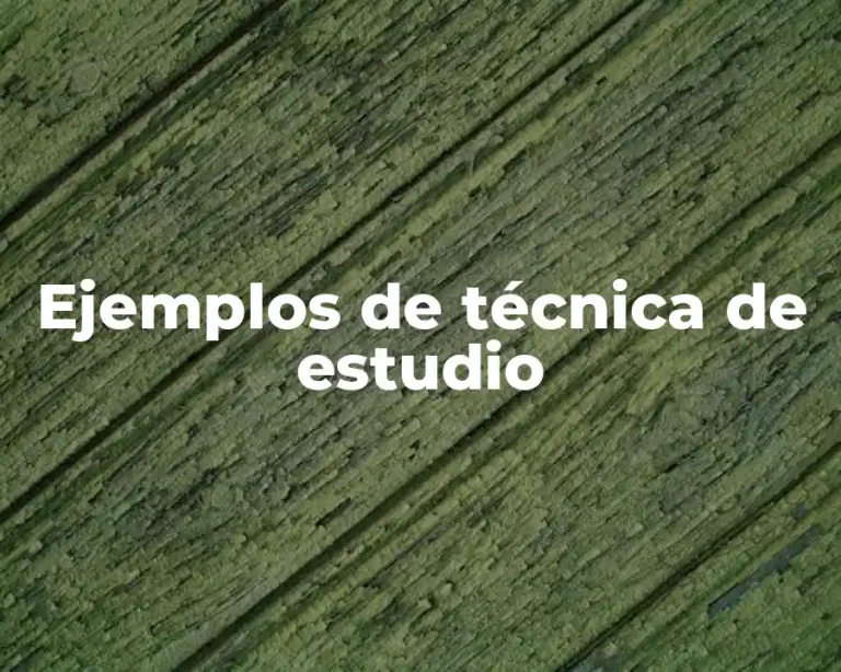 Ejemplos de técnica de estudio