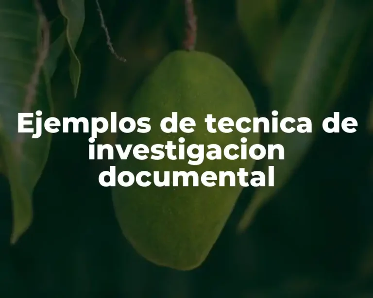 Ejemplos de tecnica de investigacion documental