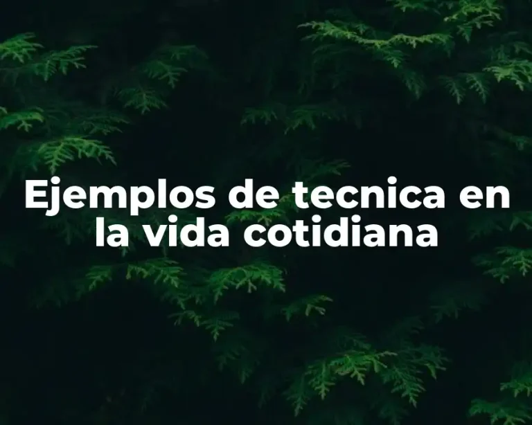 Ejemplos de tecnica en la vida cotidiana