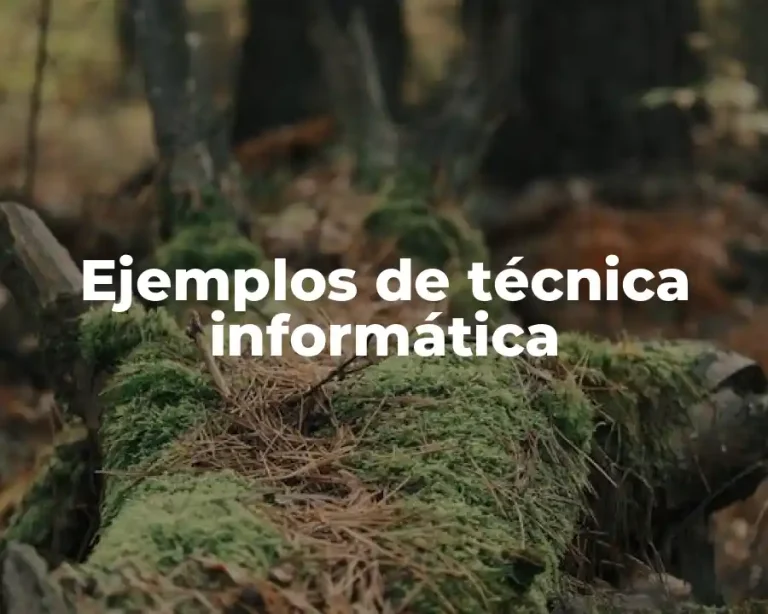 Ejemplos de técnica informática