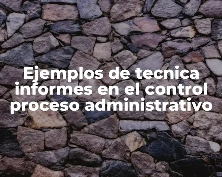 Ejemplos de tecnica informes en el control proceso administrativo