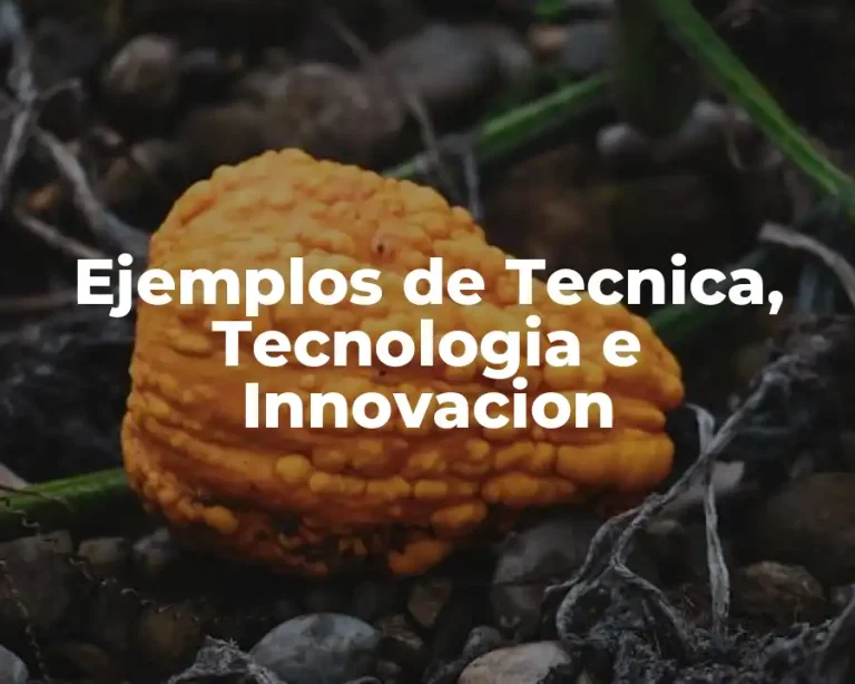 Ejemplos de Tecnica, Tecnologia e Innovacion