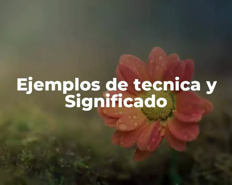 Ejemplos de tecnica y Significado