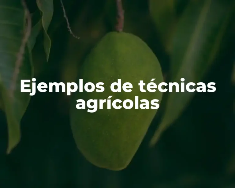 Ejemplos de técnicas agrícolas