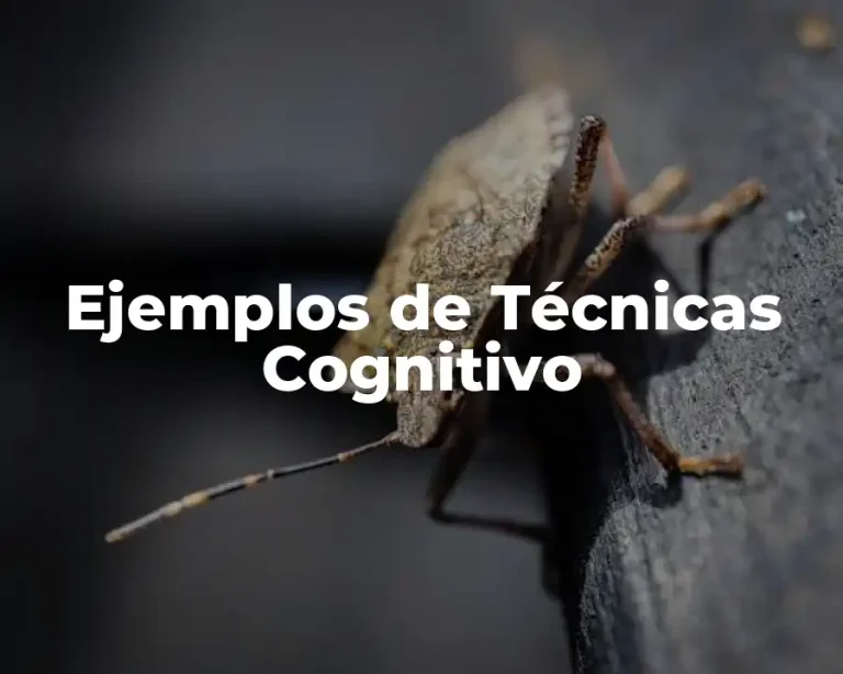Ejemplos de Técnicas Cognitivo