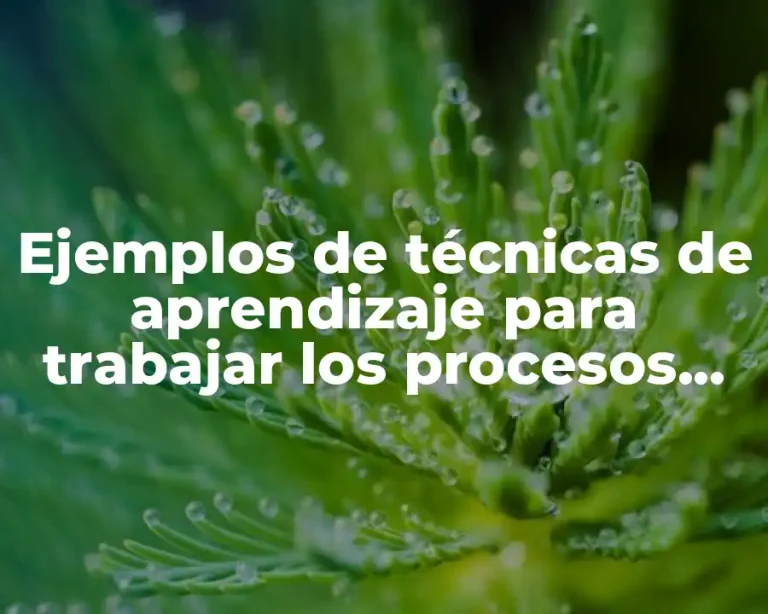 Ejemplos de técnicas de aprendizaje para trabajar los procesos cognitivos