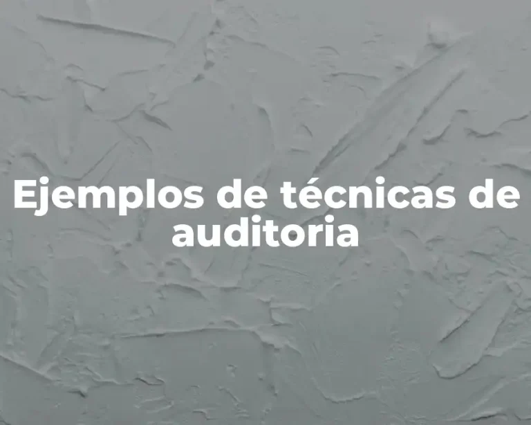 Ejemplos de técnicas de auditoria