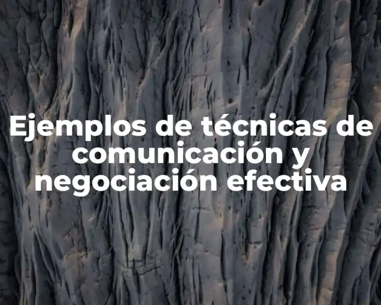 Ejemplos de técnicas de comunicación y negociación efectiva