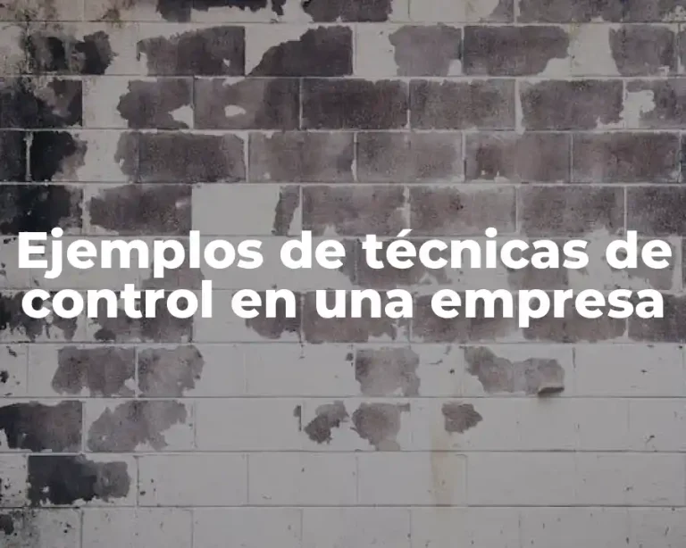Ejemplos de técnicas de control en una empresa