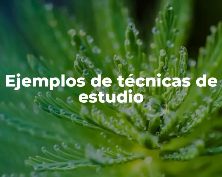 Ejemplos de técnicas de estudio
