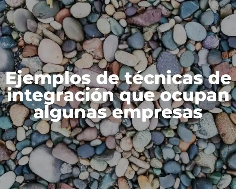 Ejemplos de técnicas de integración que ocupan algunas empresas