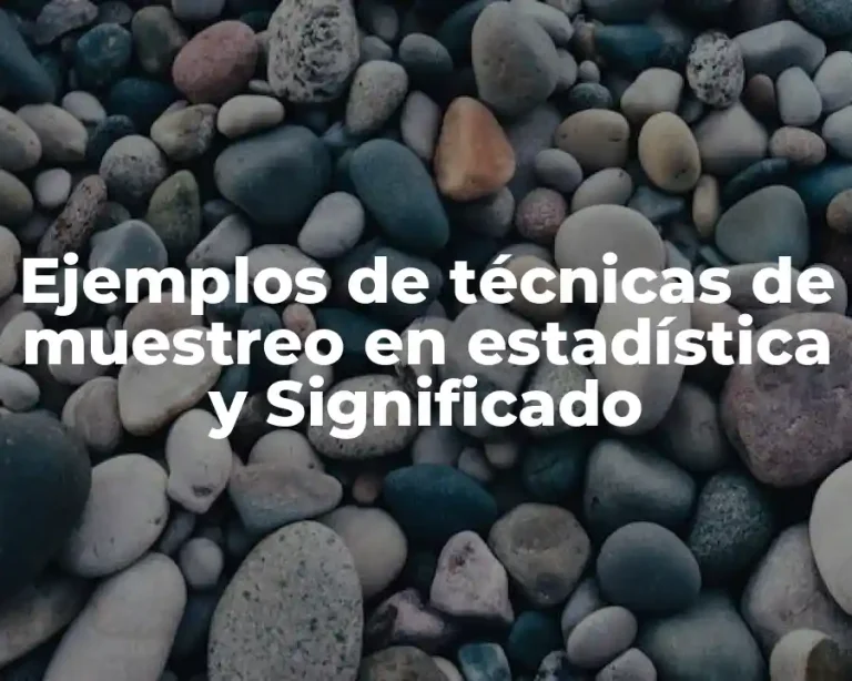 Ejemplos de técnicas de muestreo en estadística y Significado