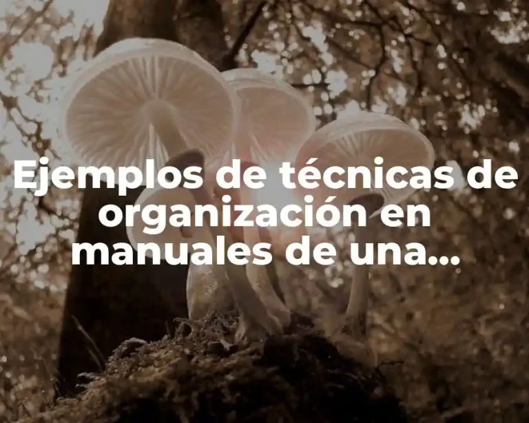 Ejemplos de técnicas de organización en manuales de una empresa