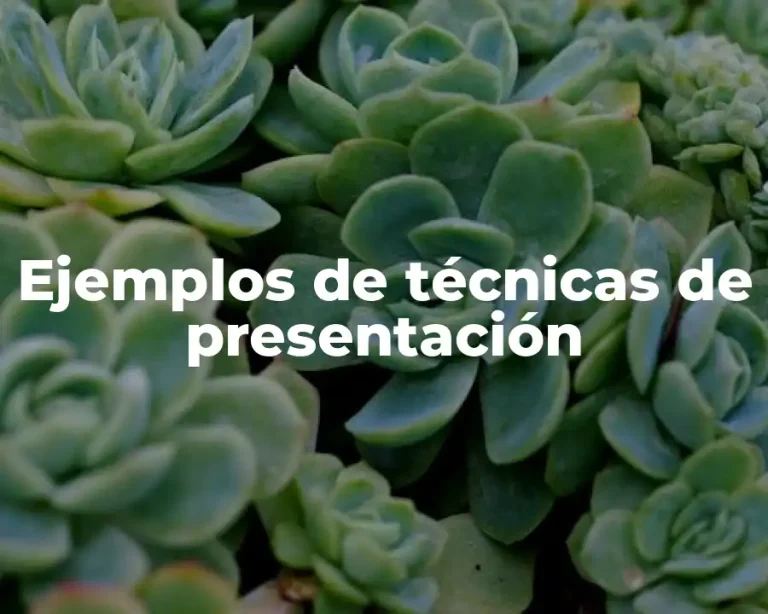Ejemplos de técnicas de presentación