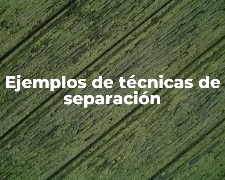 Ejemplos de técnicas de separación