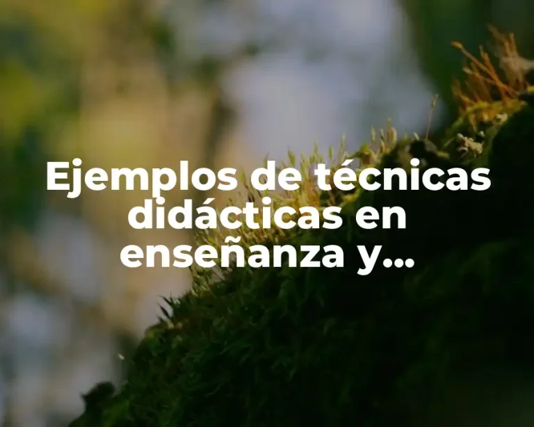 Ejemplos de técnicas didácticas en enseñanza y aprendizaje