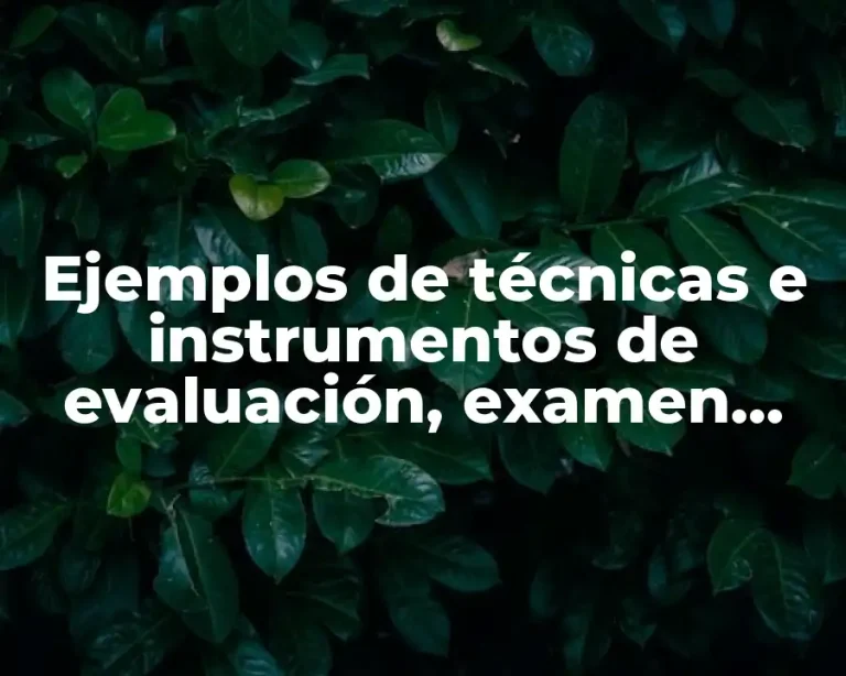Ejemplos de técnicas e instrumentos de evaluación, examen, tareas y participación y Significado