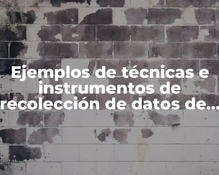 Ejemplos de técnicas e instrumentos de recolección de datos de redacción
