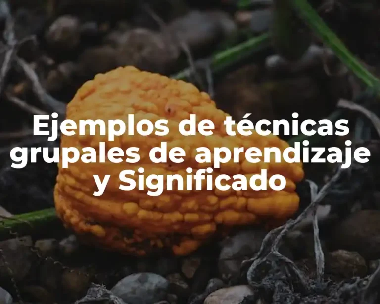 Ejemplos de técnicas grupales de aprendizaje y Significado