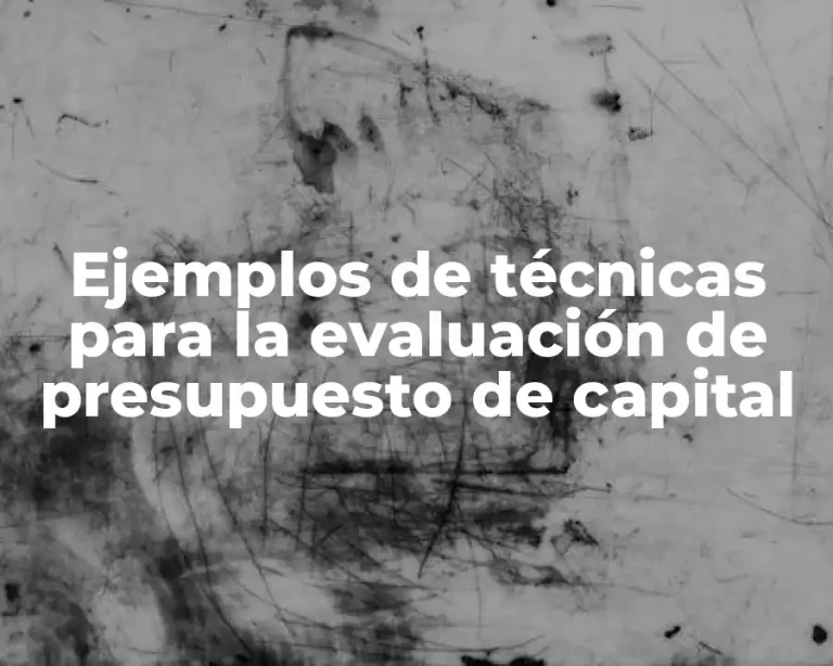 Ejemplos de técnicas para la evaluación de presupuesto de capital