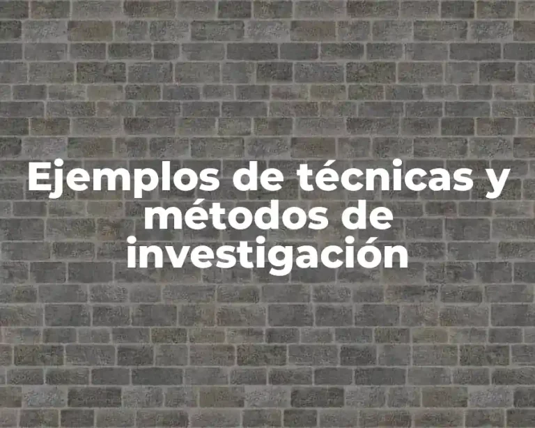 Ejemplos de técnicas y métodos de investigación
