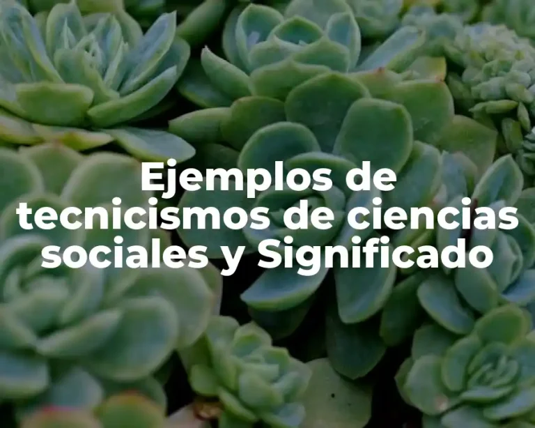 Ejemplos de tecnicismos de ciencias sociales y Significado