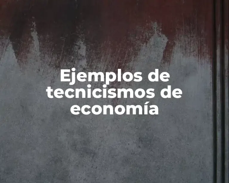 Ejemplos de tecnicismos de economía