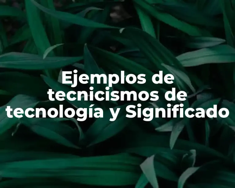 Ejemplos de tecnicismos de tecnología y Significado