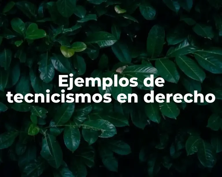 Ejemplos de tecnicismos en derecho