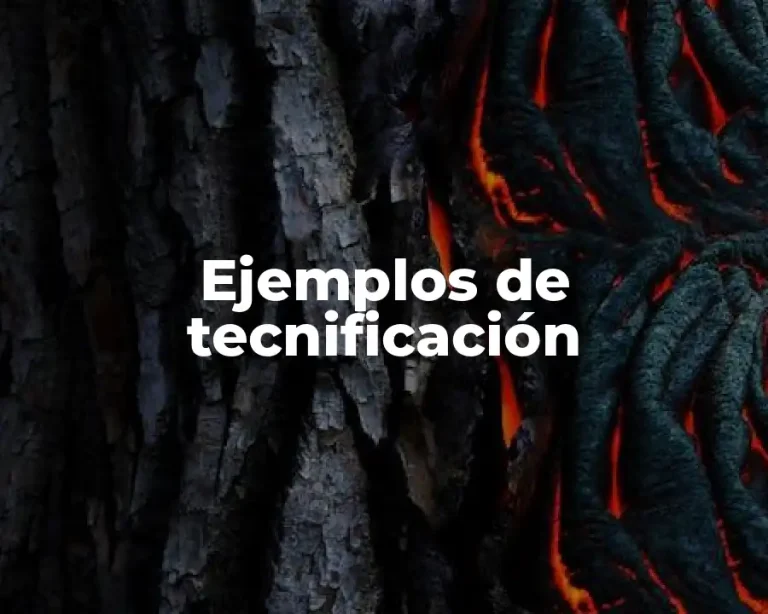 Ejemplos de tecnificación
