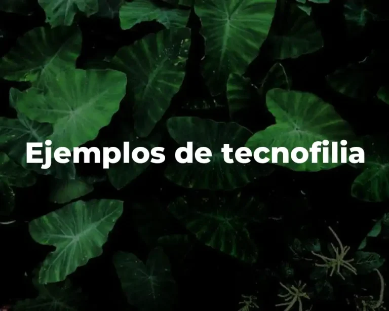 Ejemplos de tecnofilia
